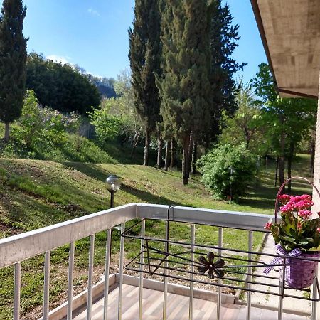 B&B Il Torchio-Urbino Extérieur photo