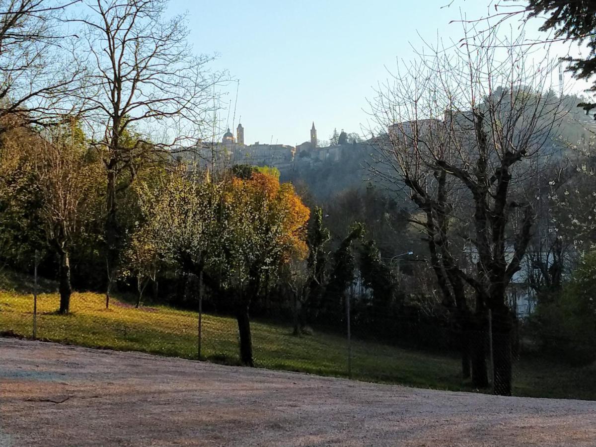 B&B Il Torchio-Urbino Extérieur photo