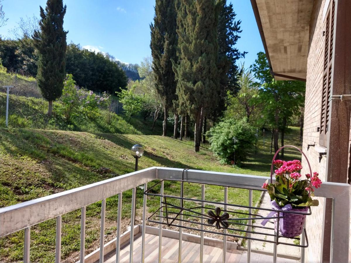 B&B Il Torchio-Urbino Extérieur photo